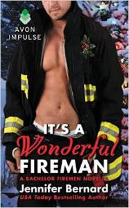 it's a wonderful fireman
